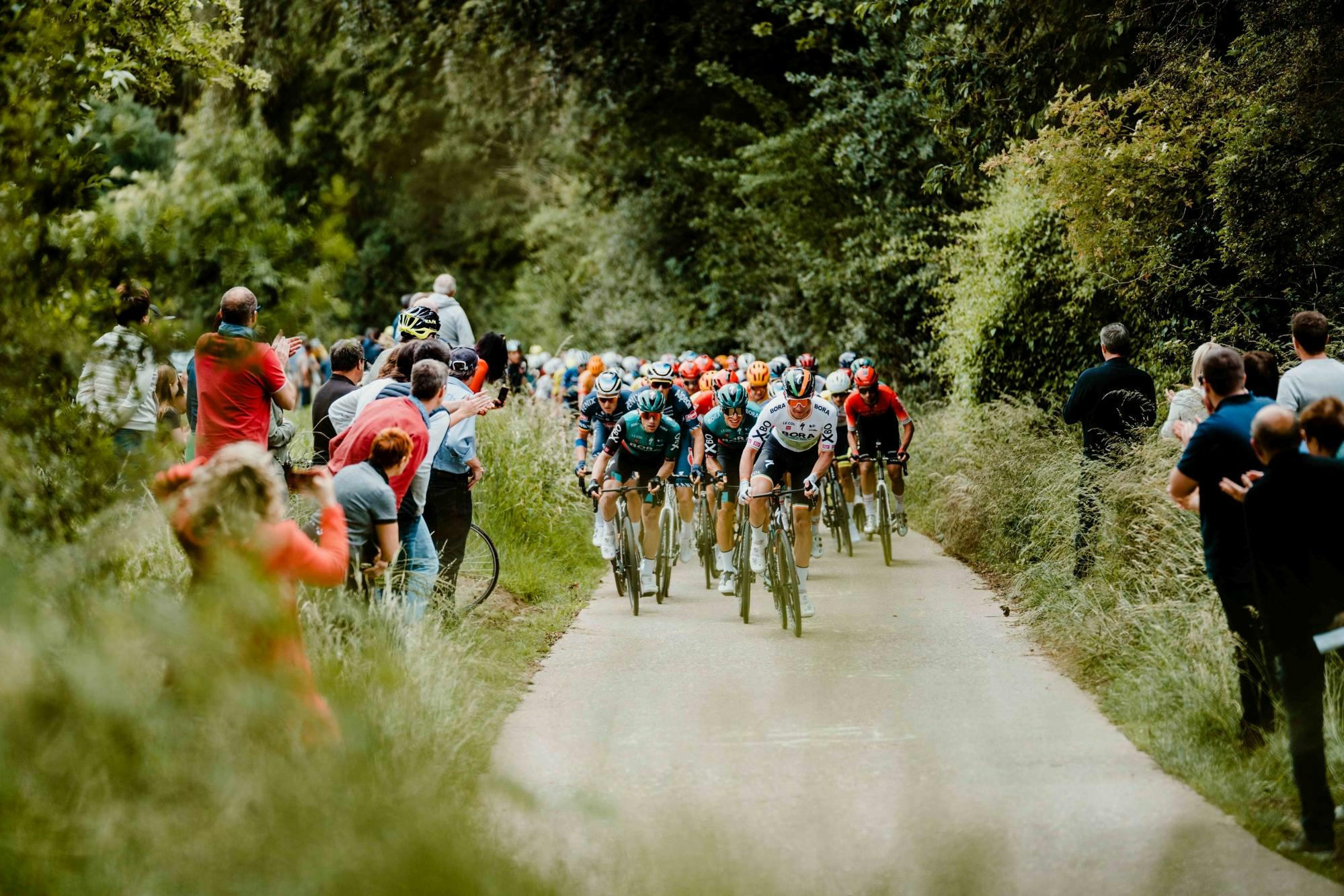 Let yourself be immersed in the Ronde van Limburg as a VIP guest