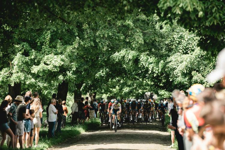 Thijssen, De Lie, Groenewegen, Girmay en Kristoff aan de start van 76ste editie